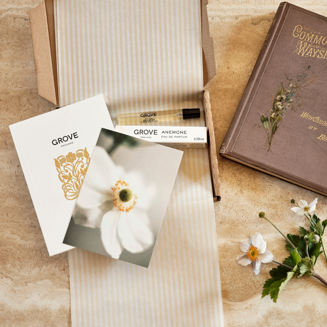 The Anemone Discovery Box