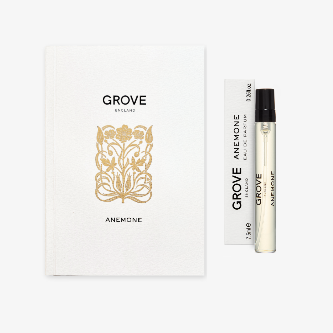 The Anemone Discovery Box