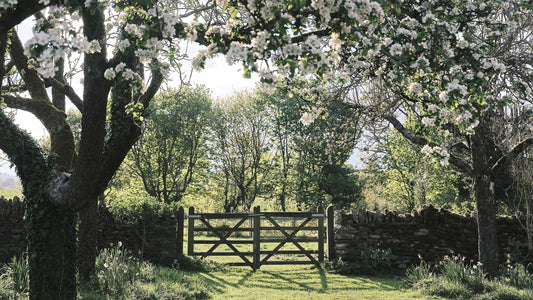 May at Grove Farm: A Life in Full Bloom