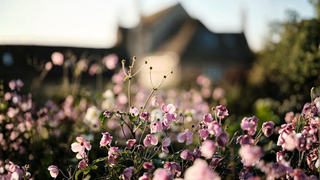 Autumn at Grove Farm