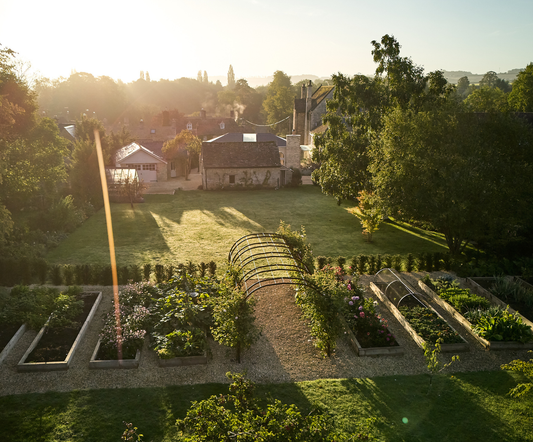 Summer at Grove Farm