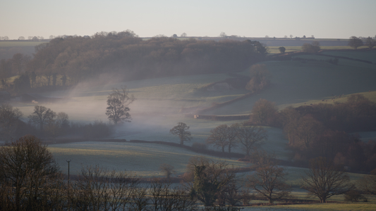 Christmas at Grove Farm