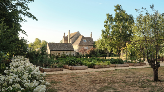 July at Grove Farm: A Golden Pause