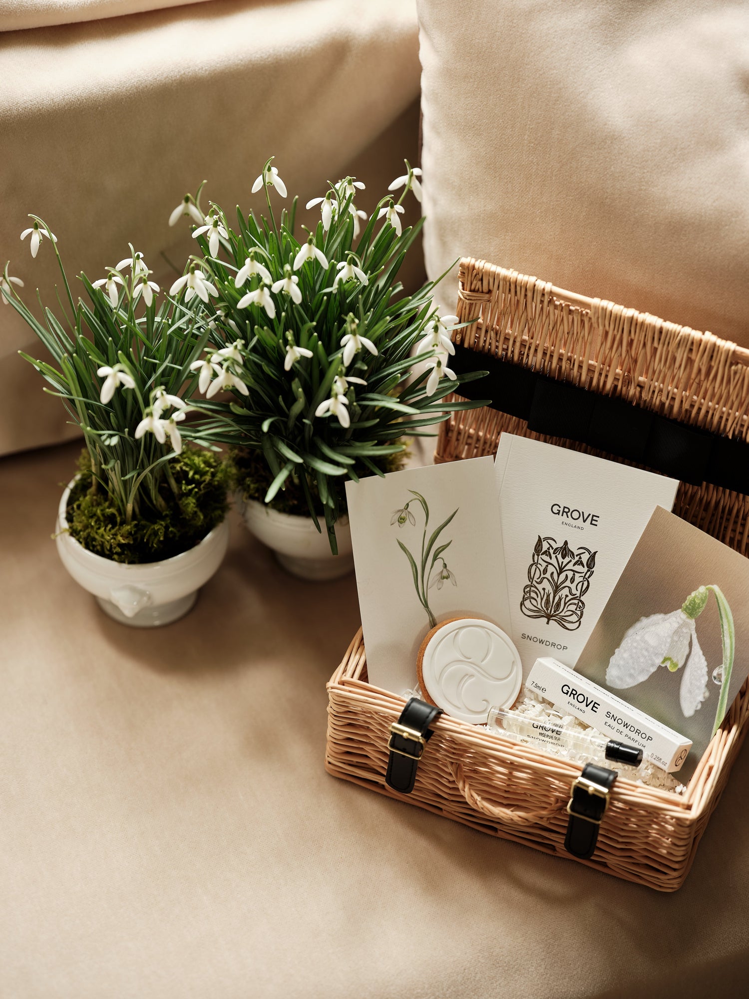 Mother's Day | Luxury Gifts