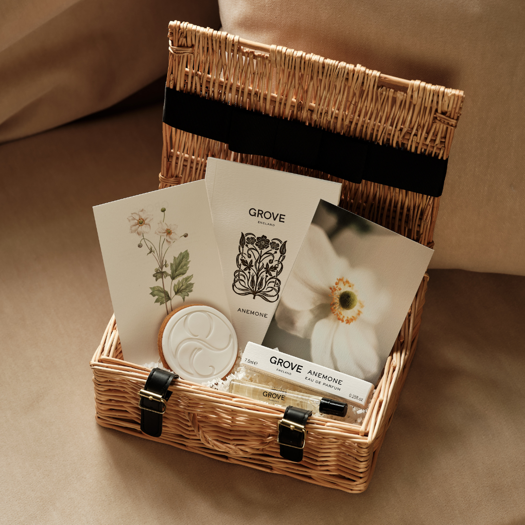 Anemone Discovery: Luxury Gift Hamper