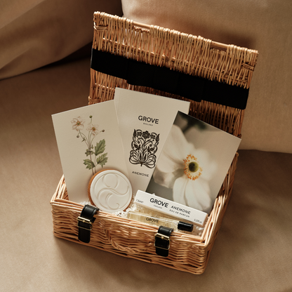 Anemone Discovery: Luxury Gift Hamper