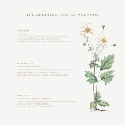 Anemone Eau de Parfum
