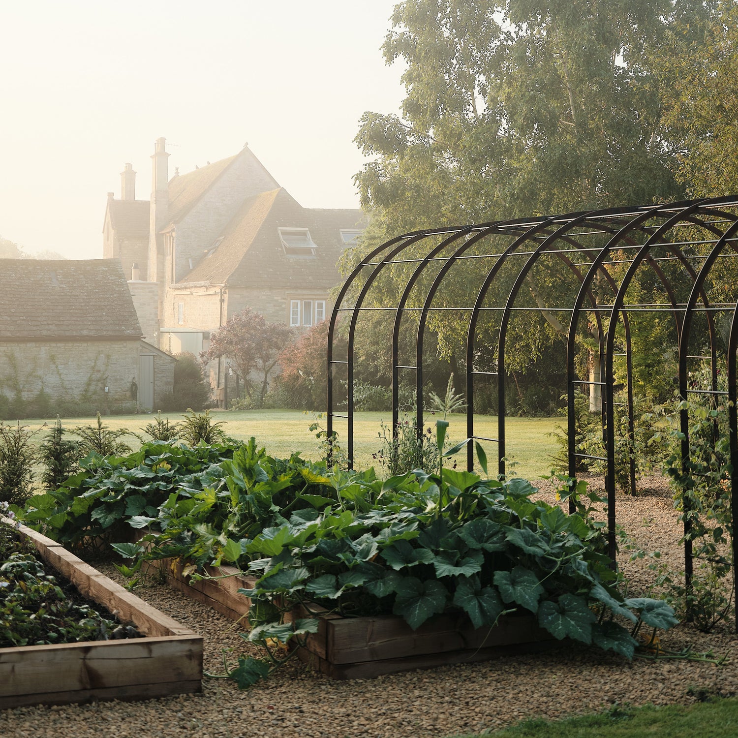 Vegetable garden with Grove Farm in the background