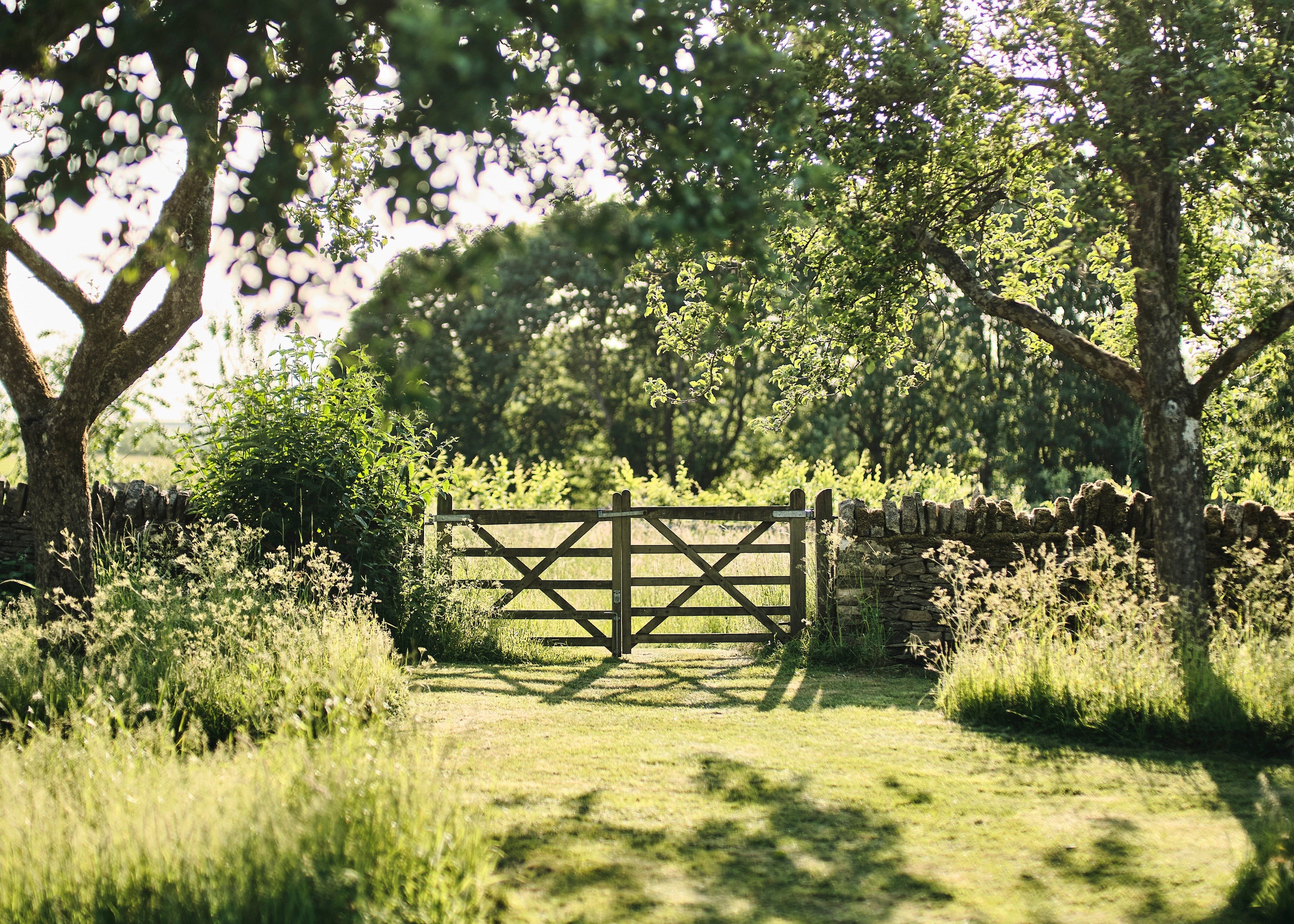 Wooden gate in Grove Farm's lush green garden with trees and sunlight filtering through.